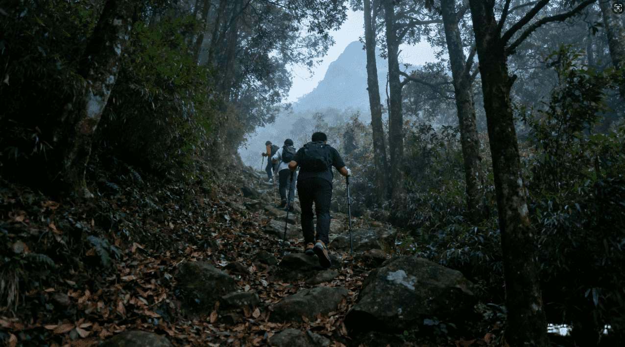 坚果加速器小乐：提升游戏与影视加载速度